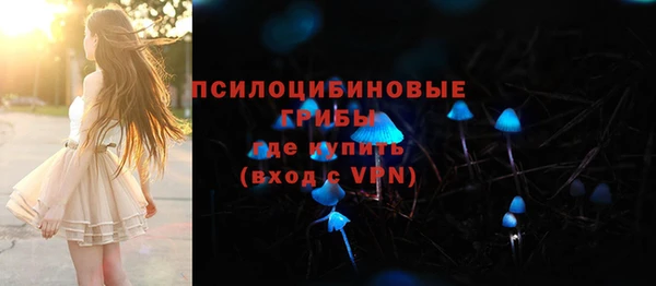 молекула духа Алексин