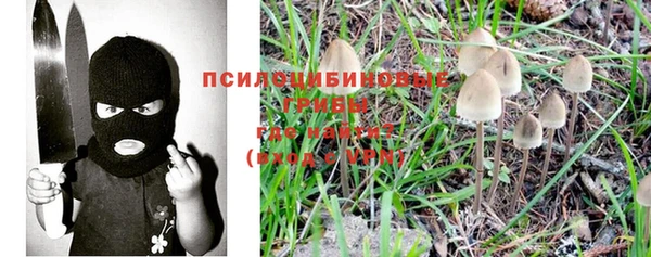 мяу мяу мука Алексеевка