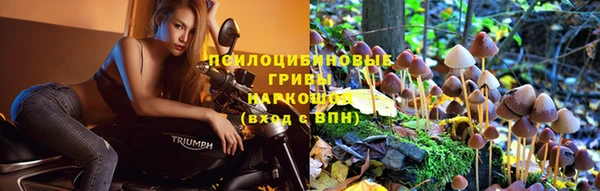 мяу мяу мука Алексеевка