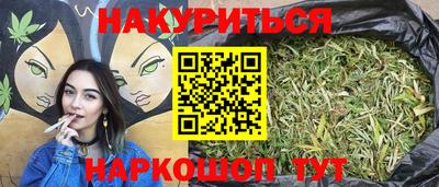 индика Лесосибирск