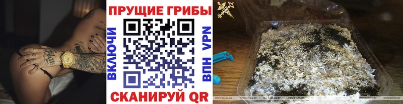 хочу Гусь-Хрустальный Псилоцибиновые грибы GOLDEN TEACHER