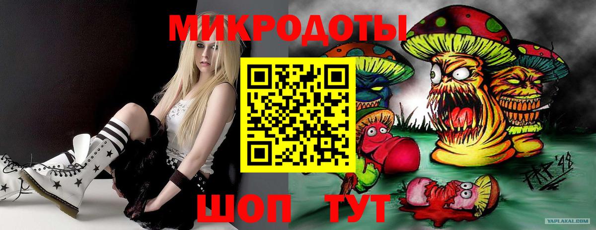 Гусь-Хрустальный  Псилоцибиновые грибы GOLDEN TEACHER  Вход с VPN 